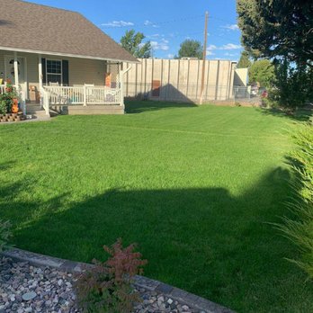 Senske Services - a lawn in a residential area - Pest Control Near Me - Yakima, Washington Senske Services - a lawn in a residential area - Pest Control Near Me - Yakima, Washington