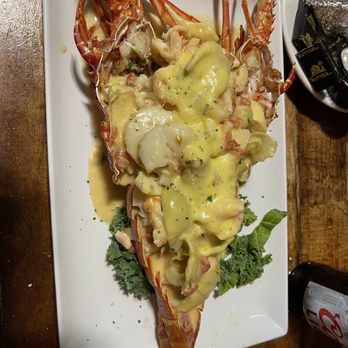 Lazy Days South - Stuffed lobster - Seafood Near Me - Marathon, Florida Lazy Days South - Stuffed lobster - Seafood Near Me - Marathon, Florida