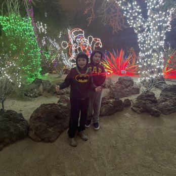 Ethel M Chocolates - More beautiful lights and cactus! - Botanical Gardens Near Me - Henderson, Nevada