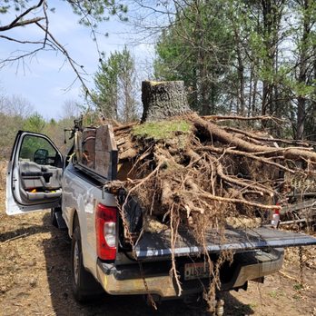 The Shrub Doctor - a truck loaded with tree roots - Lawn Services Near Me The Shrub Doctor - a truck loaded with tree roots - Lawn Services Near Me