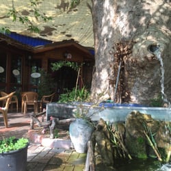 Çınaraltı Cafe