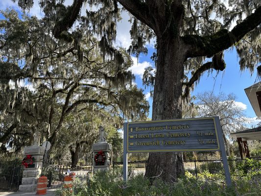 Bonaventure Cemetery by null