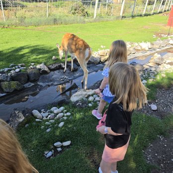 Yellowstone Bear World - Petting zoo - Zoos Near Me - Rexburg, Idaho Yellowstone Bear World - Petting zoo - Zoos Near Me - Rexburg, Idaho
