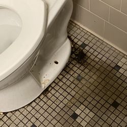 LA Fitness - Maybe you better use the toilet at home