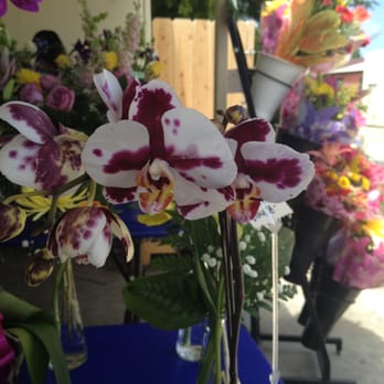 Camellia Wedding Flowers - Amazing Orchids - Florists Near Me - San Diego, California