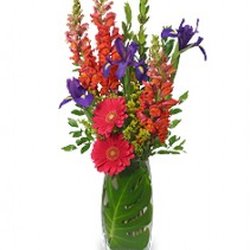 Lindas Enchanted Florist