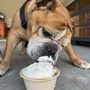 Photo of Lottie's Shivers Shaved Ice