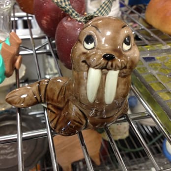Goodwill Store & Donation Center - Walrus Adorbies. - Thrift Stores Near Me - Westchester, Illinois Goodwill Store & Donation Center - Walrus Adorbies. - Thrift Stores Near Me - Westchester, Illinois