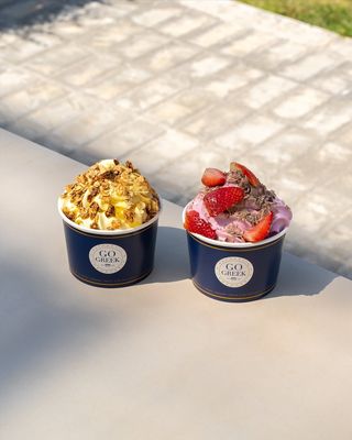Go Greek Yogurt by null