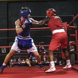 Five Point Boxing