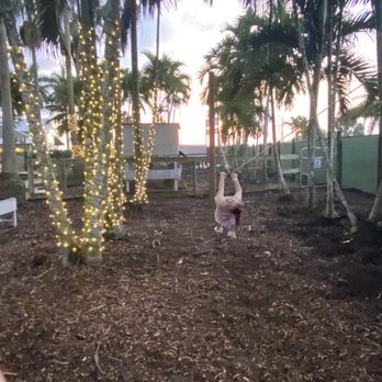Tinez Farms - Attraction Farms Near Me - Miami, Florida Tinez Farms - Attraction Farms Near Me - Miami, Florida