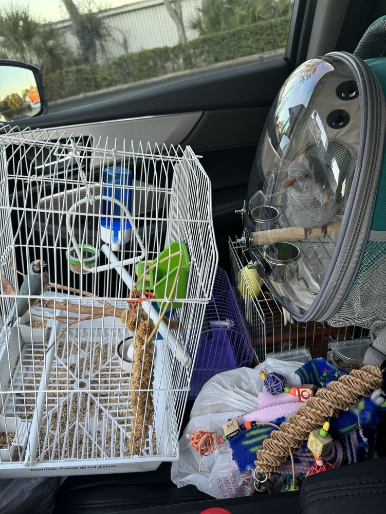 Rena's Pet Supplies Image