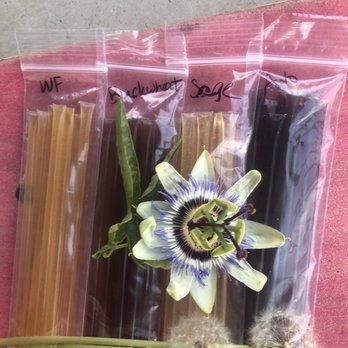 Bill's Bees Honey - a bunch of bees and a flower - Specialty Food Near Me Bill's Bees Honey - a bunch of bees and a flower - Specialty Food Near Me
