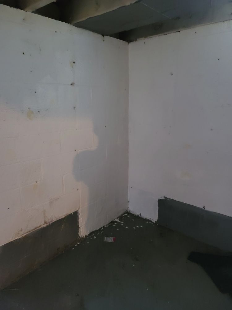 Slide of Detroit Rescue My Home