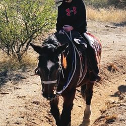 Cave Creek Outfitters