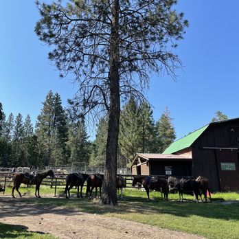 Lonesome Dove Guest Ranch - Horseback riding - Hotels Near Me - Kalispell, Montana Lonesome Dove Guest Ranch - Horseback riding - Hotels Near Me - Kalispell, Montana