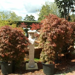 Cloudehill Garden & Nursery - Nursery.