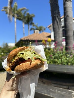 Pretty Good Advice by null