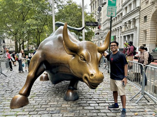 Charging Bull by null