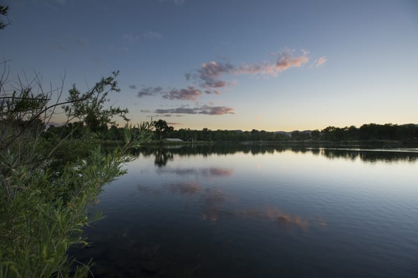 Prospect Park by null