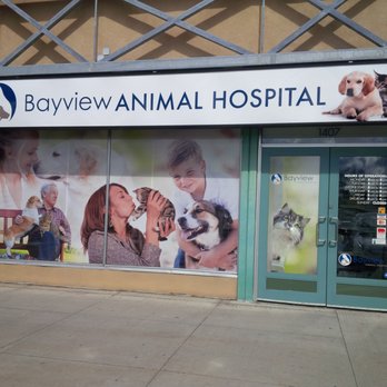 Bayview Animal Hospital - Emergency Pet Hospital Near Me - Ottawa, Ontario Bayview Animal Hospital - Emergency Pet Hospital Near Me - Ottawa, Ontario
