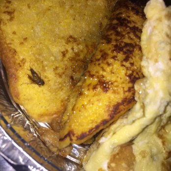 Island Bagel Bar - Roach On FOOD FROM ISLAND BAGEL BAR!!!!! - Bagels Near Me - Lawrence, New York