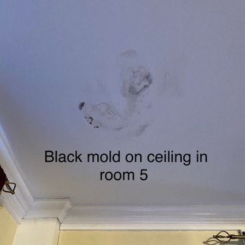 Bartlett Inn - Health hazard. Mold!!!! - Bed & Breakfast Near Me - Bartlett, New Hampshire