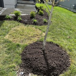 Rodríguez Lawn Care
