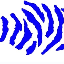 Tigerfish Transcription