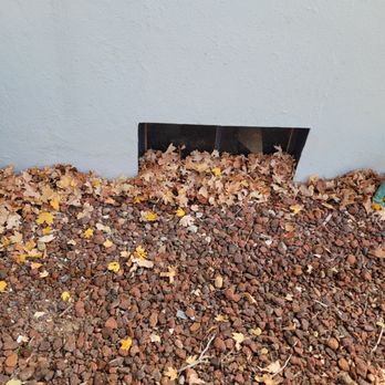 Wood and son landscaping/grading - Blew leaves into windows - Lawn Services Near Me