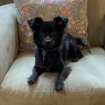 Block Shop Books - Bookstore dog! - Bookstores Near Me - Lunenburg, Nova Scotia Block Shop Books - Bookstore dog! - Bookstores Near Me - Lunenburg, Nova Scotia