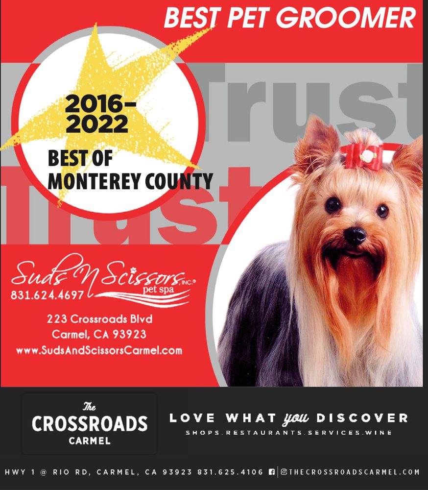 SUDS ‘N SCISSORS Updated September 2024 75 Photos & 164 Reviews