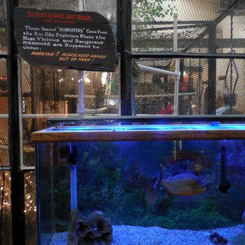 La Posta de Mesilla - Piranhas and parrots in lobby - Mexican Near Me - Mesilla, New Mexico