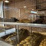 Photo of Yasmeen Bakery