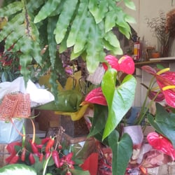 Floricultura Ikebana