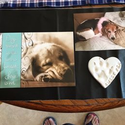 Our Sweet Pea and the paw print we received from All Kinds. Thank you Our Sweet Pea and the paw print we received from All Kinds. Thank you