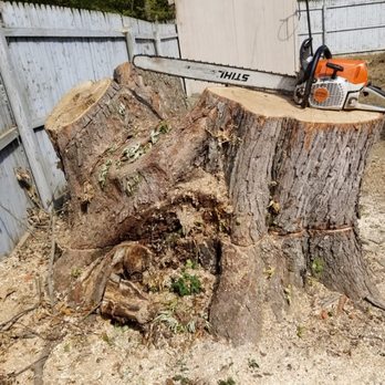 Tree Fellers - Tree Services Near Me
