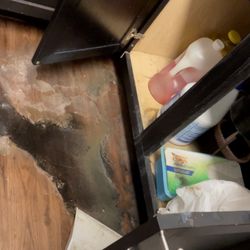 Estates at Fountain Lake Apartments - SEWAGE, NASTY WATER