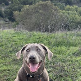 Luca