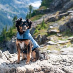 Furhaven Pet Products Inc