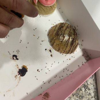 Crumbl - Southpark Meadows - Bakeries Near Me - Austin, Texas