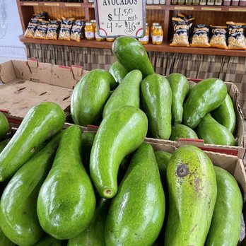 Robert Is Here - Avocado - Fruits & Veggies Near Me - Homestead, Florida