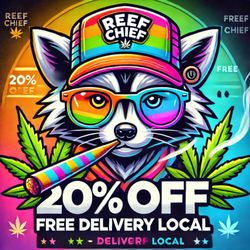 Reef Chief