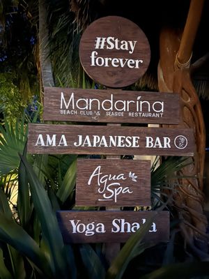 Casa Las Tortugas by null