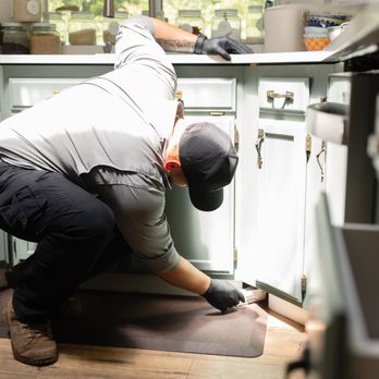 TriGuard Pest Control - Pest Control Near Me TriGuard Pest Control - Pest Control Near Me