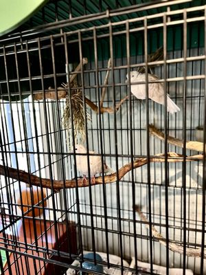 Nature Center at Greenburgh by null