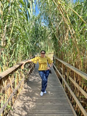 Oceanogràfic València by null