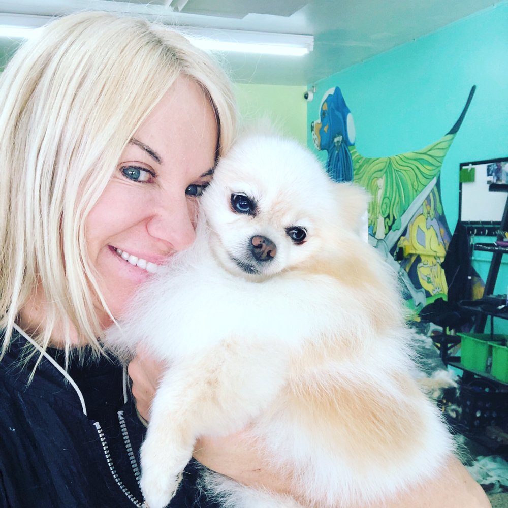 DUNEDIN HAPPY TAILS Updated June 2024 310 Photos & 51 Reviews