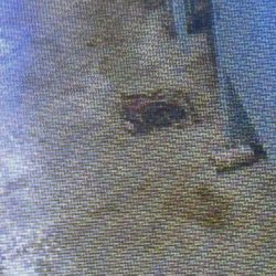 Camp Bernadette - bathroom floor