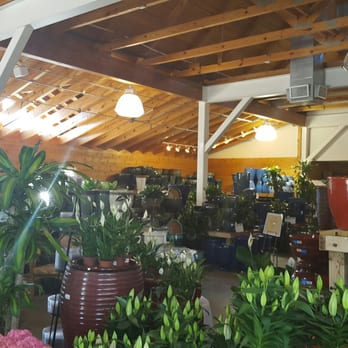 Calloway's Nursery - Inside the storefront with tools, seeds, and fancy ceramics. The orchids are in here, too. - Nurseries & Gardening Near Me - Arlington, Texas